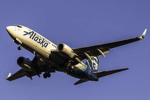 Alaska Airlines Boeing 737-800 N549AS at Seattle Tacoma International Airport (KSEA/SEA)