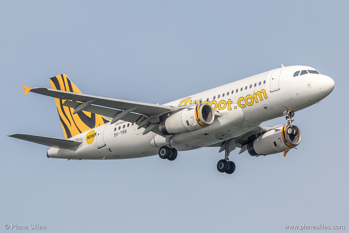 Scoot Airbus A319-100 9V-TRB at Singapore Changi Airport (WSSS/SIN) Scoot Airbus A319-100 9V-TRB at Singapore Changi Airport (WSSS/SIN)