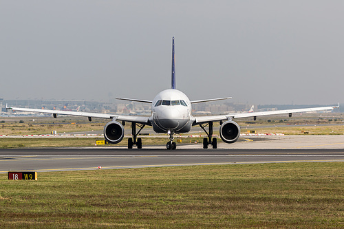 Lufthansa Airbus A319-100 D-AILS at Frankfurt am Main International Airport (EDDF/FRA)