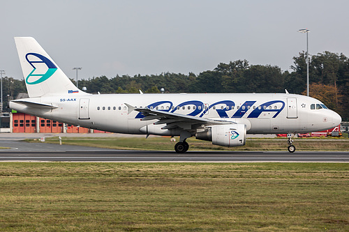 Adria Airways Airbus A319-100 S5-AAX at Frankfurt am Main International Airport (EDDF/FRA)