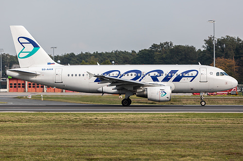 Adria Airways Airbus A319-100 S5-AAX at Frankfurt am Main International Airport (EDDF/FRA) Adria Airways Airbus A319-100 S5-AAX at Frankfurt am Main International Airport (EDDF/FRA)