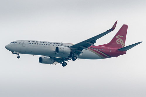 Shenzhen Airlines Boeing 737-800 B-1710 at Singapore Changi Airport (WSSS/SIN)