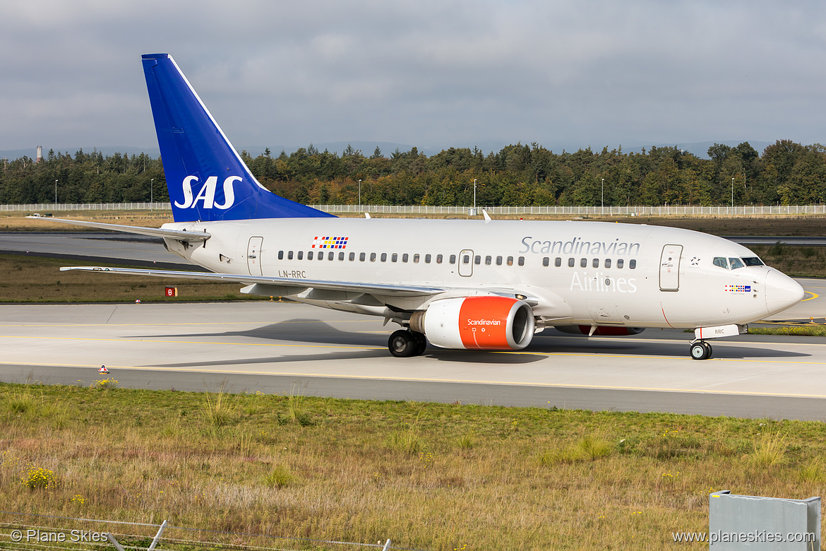 Scandinavian Airlines Boeing 737-600 LN-RRC at Frankfurt am Main International Airport (EDDF/FRA)