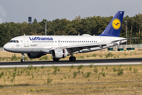Lufthansa Airbus A319-100 D-AILM at Frankfurt am Main International Airport (EDDF/FRA)