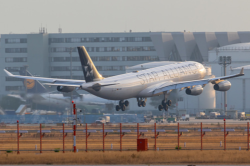 Lufthansa Airbus A340-300 D-AIGV at Frankfurt am Main International Airport (EDDF/FRA)