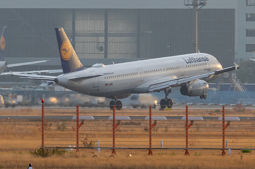 Lufthansa Airbus A321-100 D-AIRL at Frankfurt am Main International Airport (EDDF/FRA)