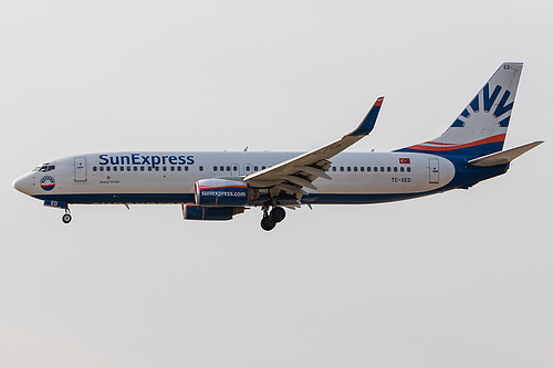 SunExpress Boeing 737-800 TC-SED at Frankfurt am Main International Airport (EDDF/FRA)