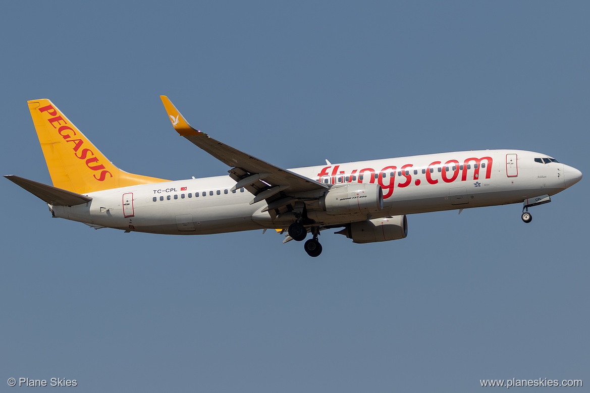 Pegasus Airlines Boeing 737-800 TC-CPL at Frankfurt am Main International Airport (EDDF/FRA)