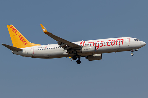 Pegasus Airlines Boeing 737-800 TC-CPL at Frankfurt am Main International Airport (EDDF/FRA)