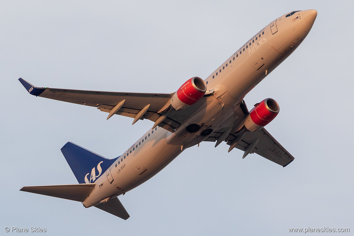 Scandinavian Airlines Boeing 737-800 LN-RGH at Frankfurt am Main International Airport (EDDF/FRA)