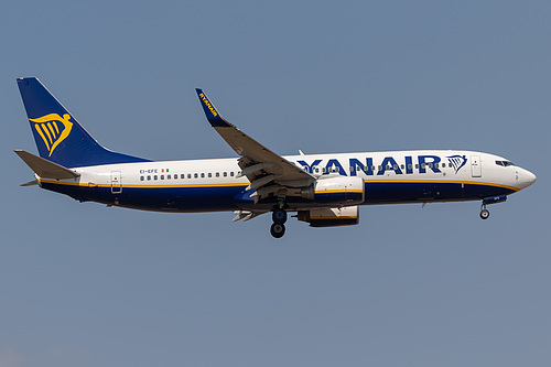 Ryanair Boeing 737-800 EI-EFE at Frankfurt am Main International Airport (EDDF/FRA)